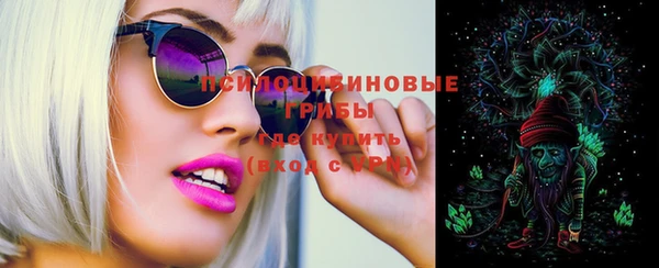 прущий лед Дмитров