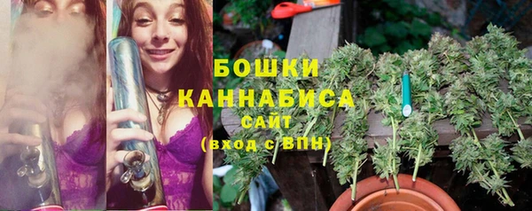 прущий лед Дмитров
